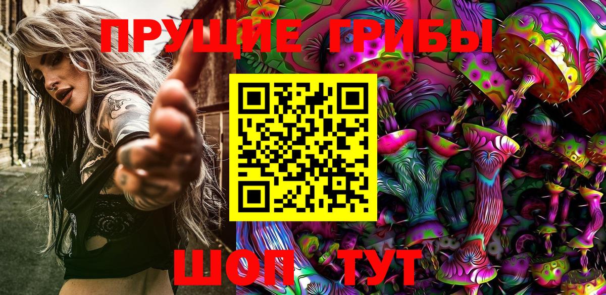 Псилоцибиновые грибы Psilocybine cubensis Грязи